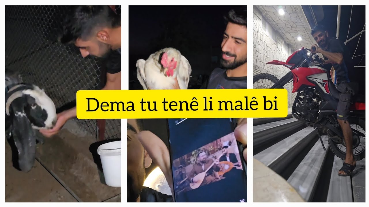 Dema tu tenê li malê bi 😪الاهل طلعوا من بيت و قالو خليك بلبيت