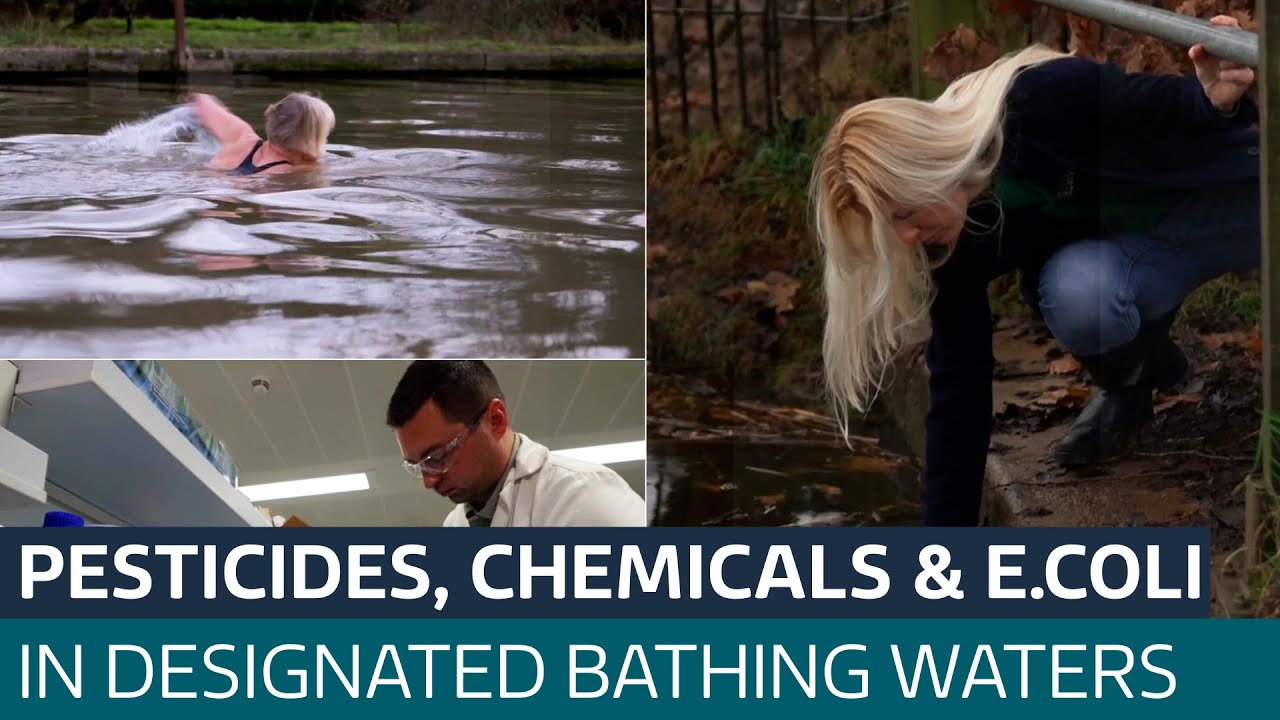 Pesticides, industrial chemicals and E.coli found in designated bathing waters, tests show| ITV News