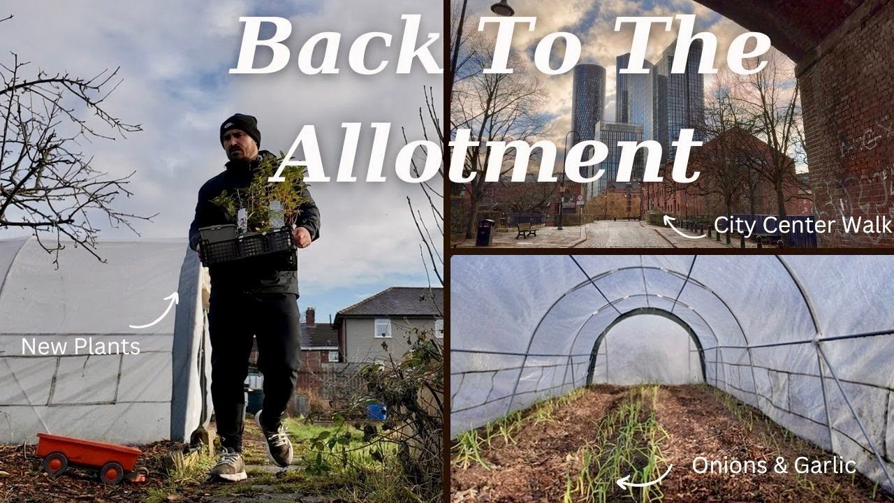 Back to the Allotment 🌱 New Perennials, Plot Tidy & a Manchester Walk