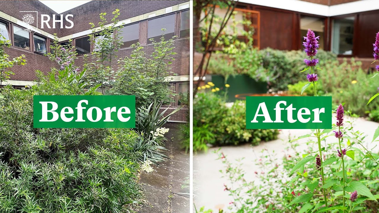 Garden transformation: the Serenity Garden, from RHS Hampton Court to an NHS Hospital | The RHS