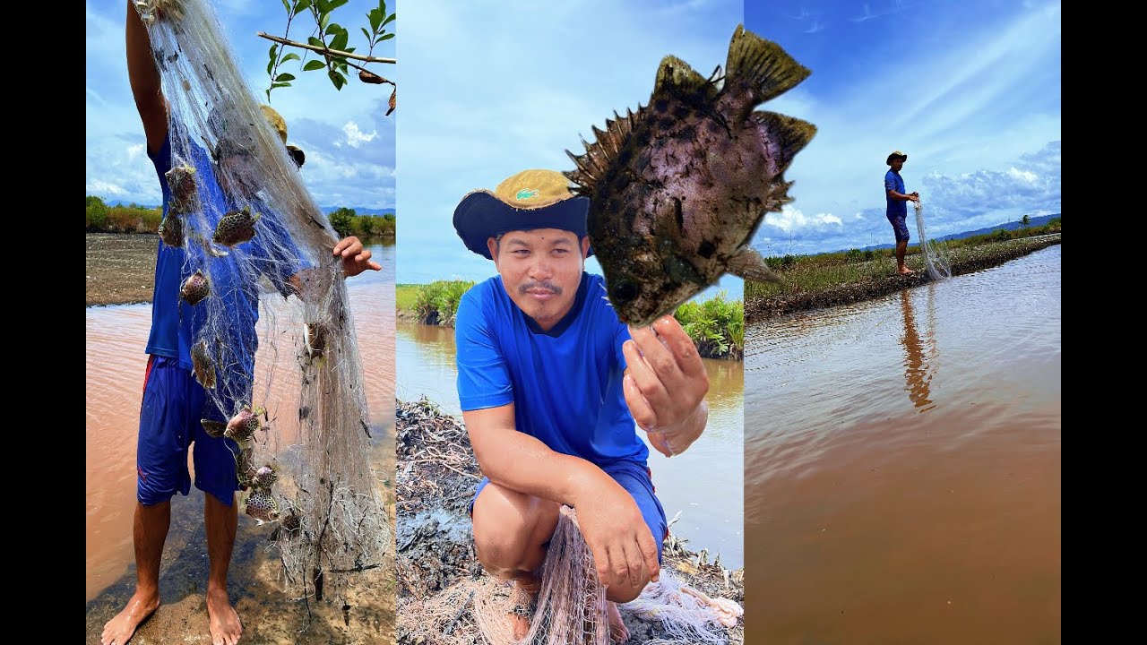 រកត្រី ដាក់មង បង់សំណាញ់ បានត្រីច្រើនណាស់