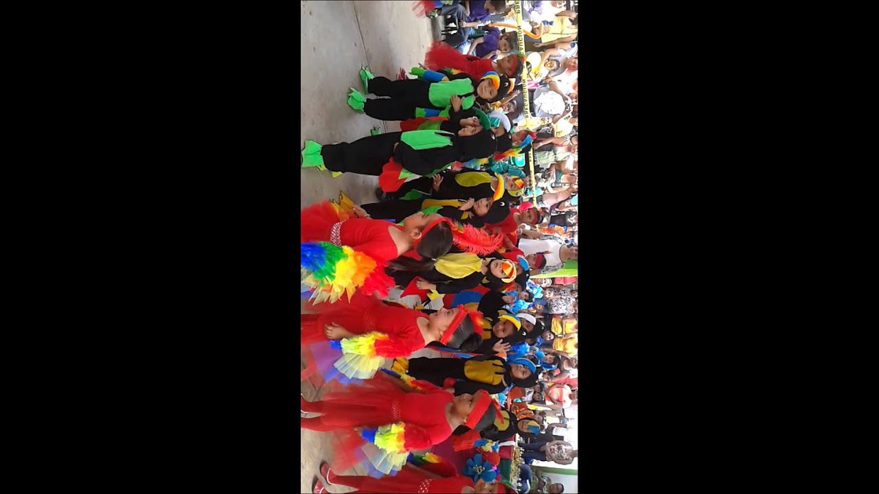 Sapo cai Rio