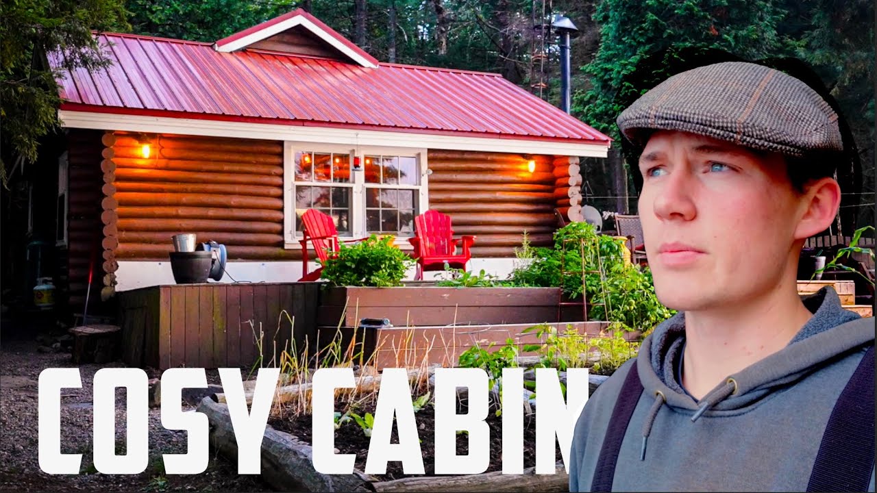 Cosy Cabin Adventure // Wind & Fallen Trees