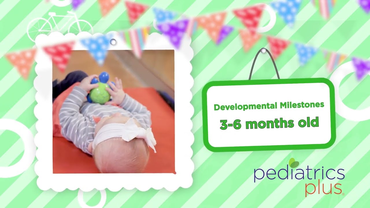 Milestones | 3-6 Months