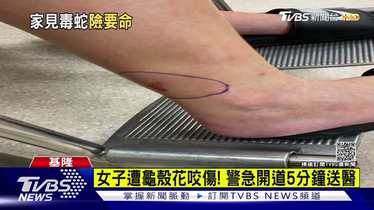 妻子遭龜殼花咬傷!丈夫憂毒發求救 警急開道5分鐘送醫｜TVBS新聞