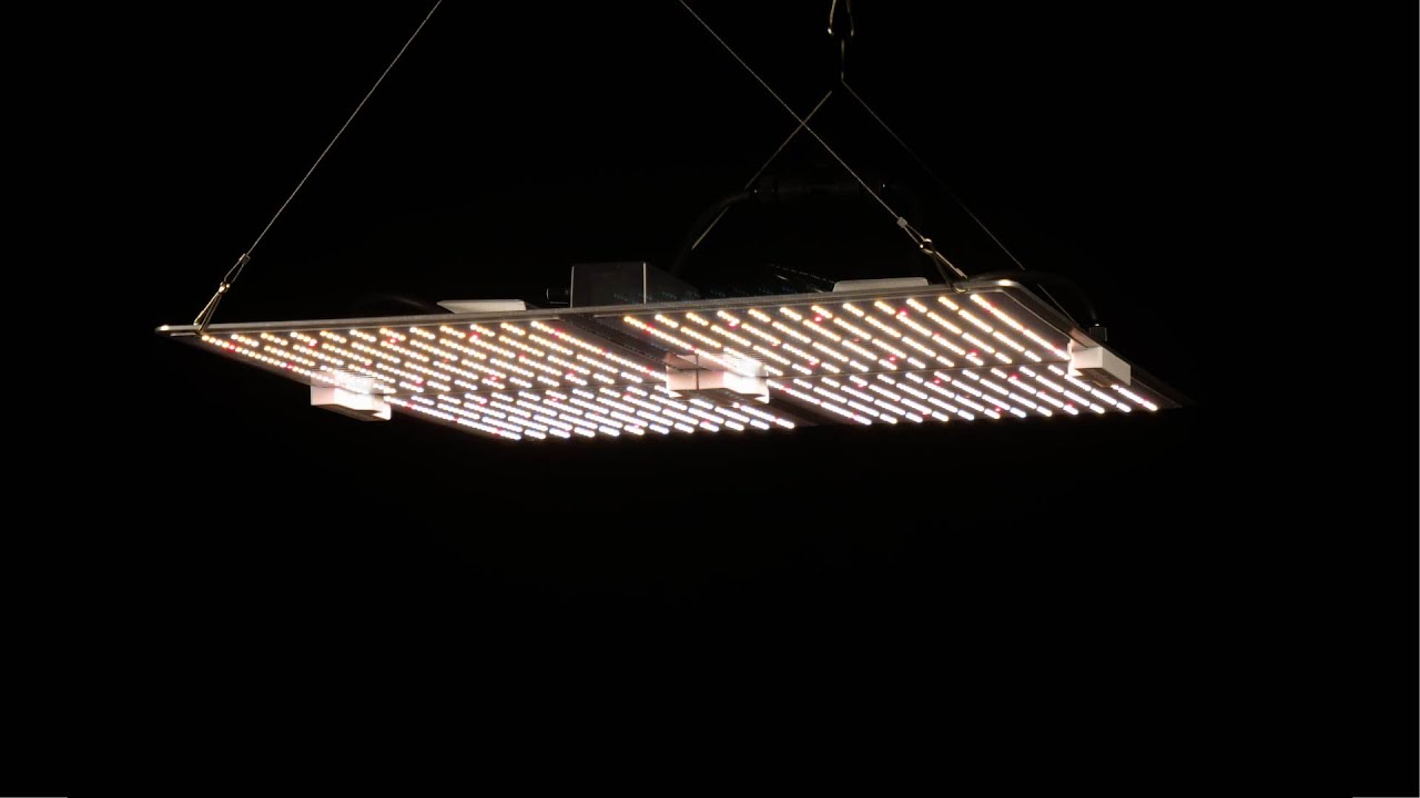 Spider Farmer SF4000 LED grow light (with dimming daisy chain) PAR test and review