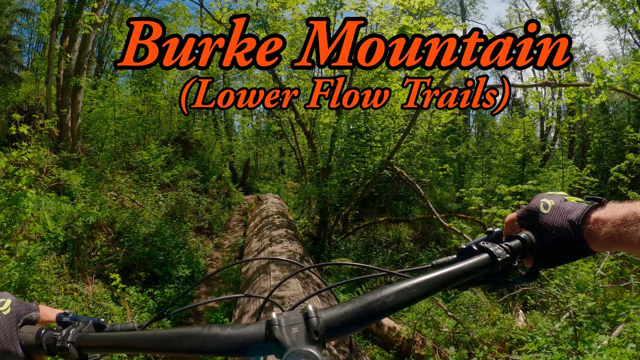 Best intermediate mountain bike trails in Coquitlam, BC - Burke Mountain Lower Trails