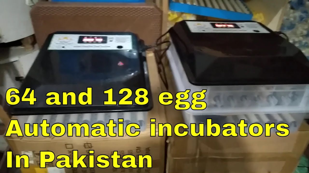Intelligent incubator controller FHQ-MN-24/56 information Urdu/Hindi