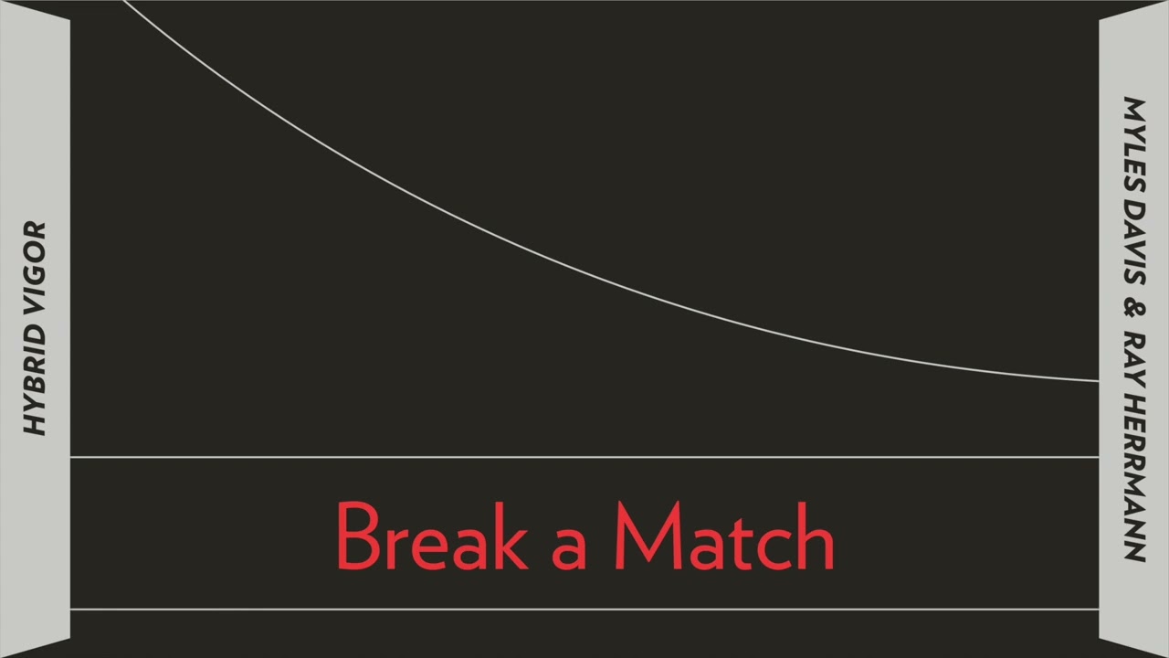 Myles Davis & Ray Herrmann - Break a Match [Official Audio]