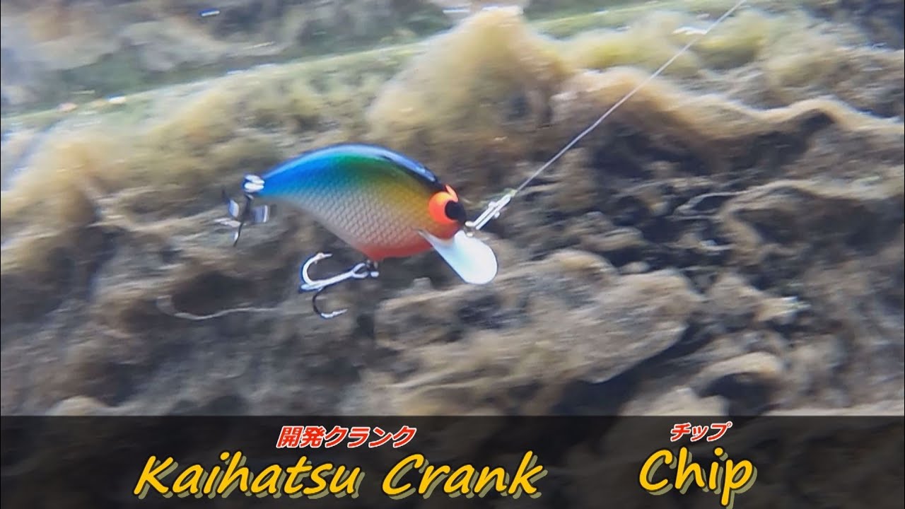 開発クランク チップ 水中映像 #kaihatsucrank #モリケンスピードバイト #bタイト #bassfishing  #H1グランプリ #レイドジャパン #メガバス #北大祐 #OSP