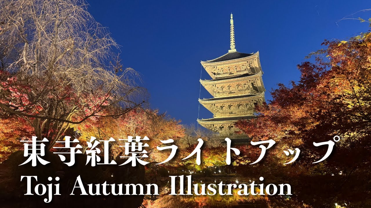 【Vlog】京都暮らし、幻想の東寺紅葉ライトアップさんぽ🍁｜To-ji Illuminated Maple Night Stroll