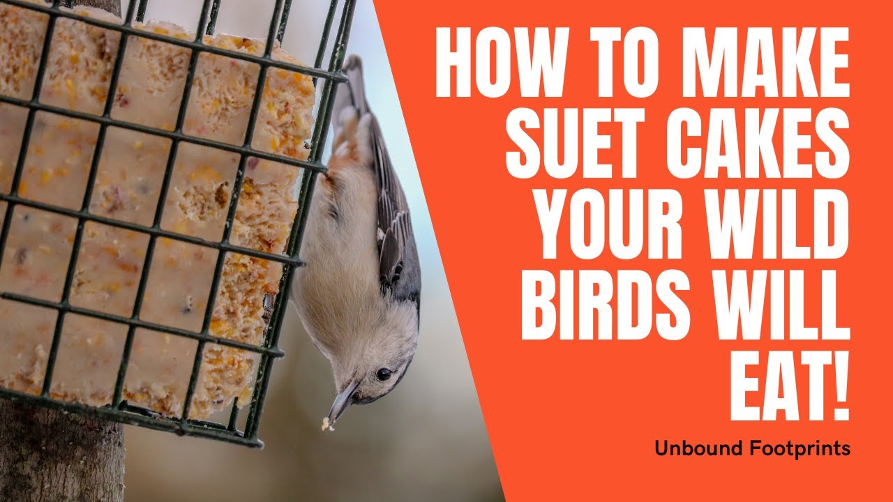 DIY ~ How to make homemade suet cakes with just a few simple ingredients!