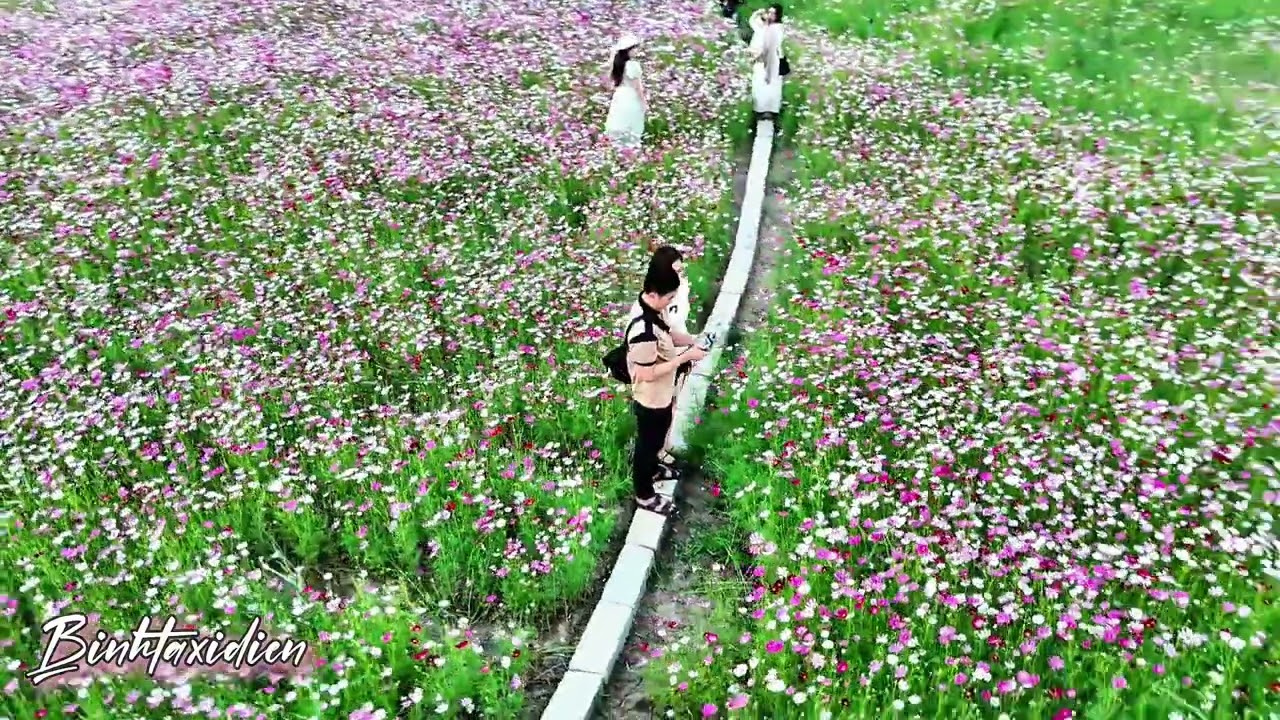Địa điểm hot nhất lúc này tại Cà Mau 