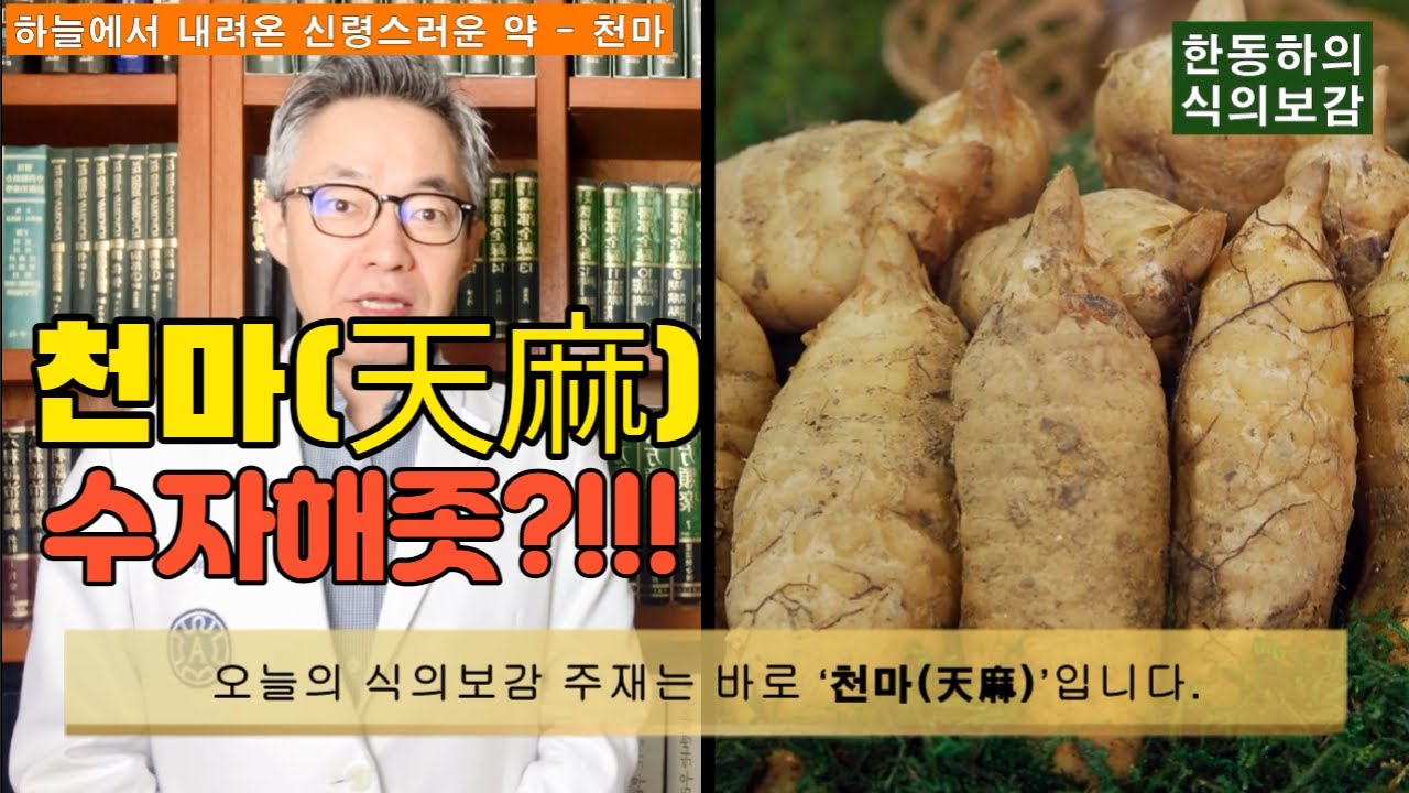 [식의보감] 이 약이 아니면 풍(風)이 없어지지 않는다. '하늘에서 내려온 신령스러운 약초' 천마(天麻)