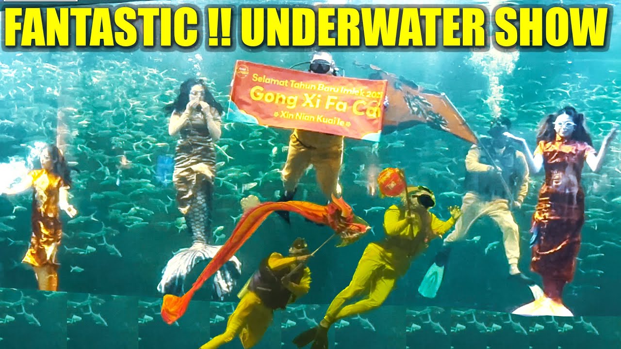 Walking travel tour Ancol!! Atraksi NAGA LIONG & MERMAID SHOW | Perayaan Imlek di Jakarta