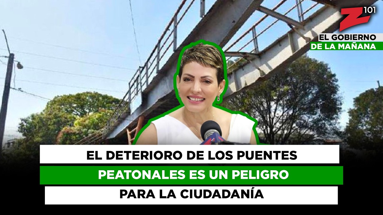 El deterioro de los puentes peatonales es un peligro para la ciudadanía