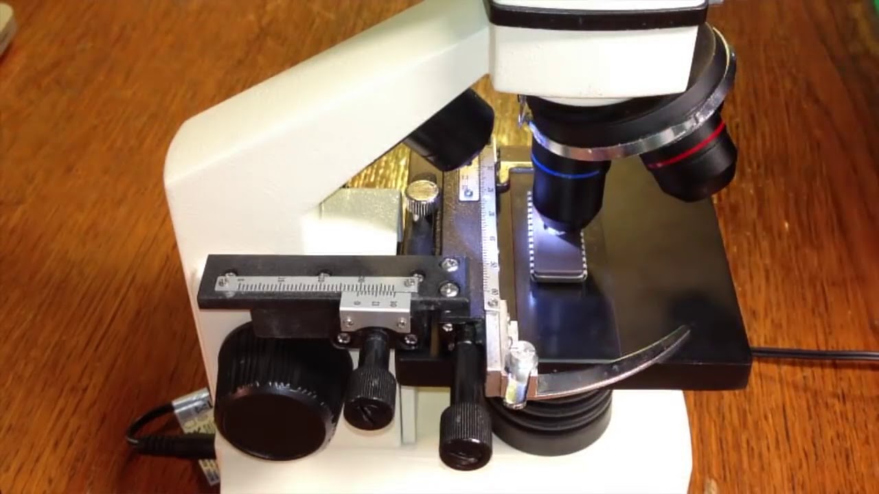 WHAT ARE The COMPONENTS Inside the RFID MICROCHIP