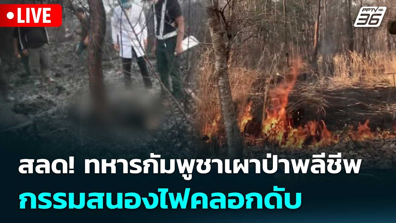 🔴 Live เข้มข่าวค่ำ | สลด! ทหารกัมพูชาเผาป่าพลีชีพ กรรมสนองไฟคลอกดับ | 21 ก.พ. 69