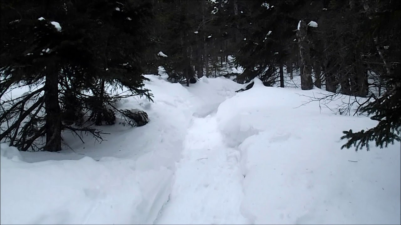 An Afternoon on North Moat Mountain, NH