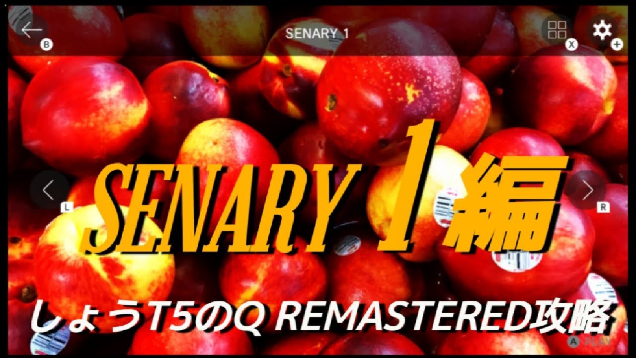 [Q REMASTERED]しょうT5のQ REMASTERED攻略  SENARY 1編