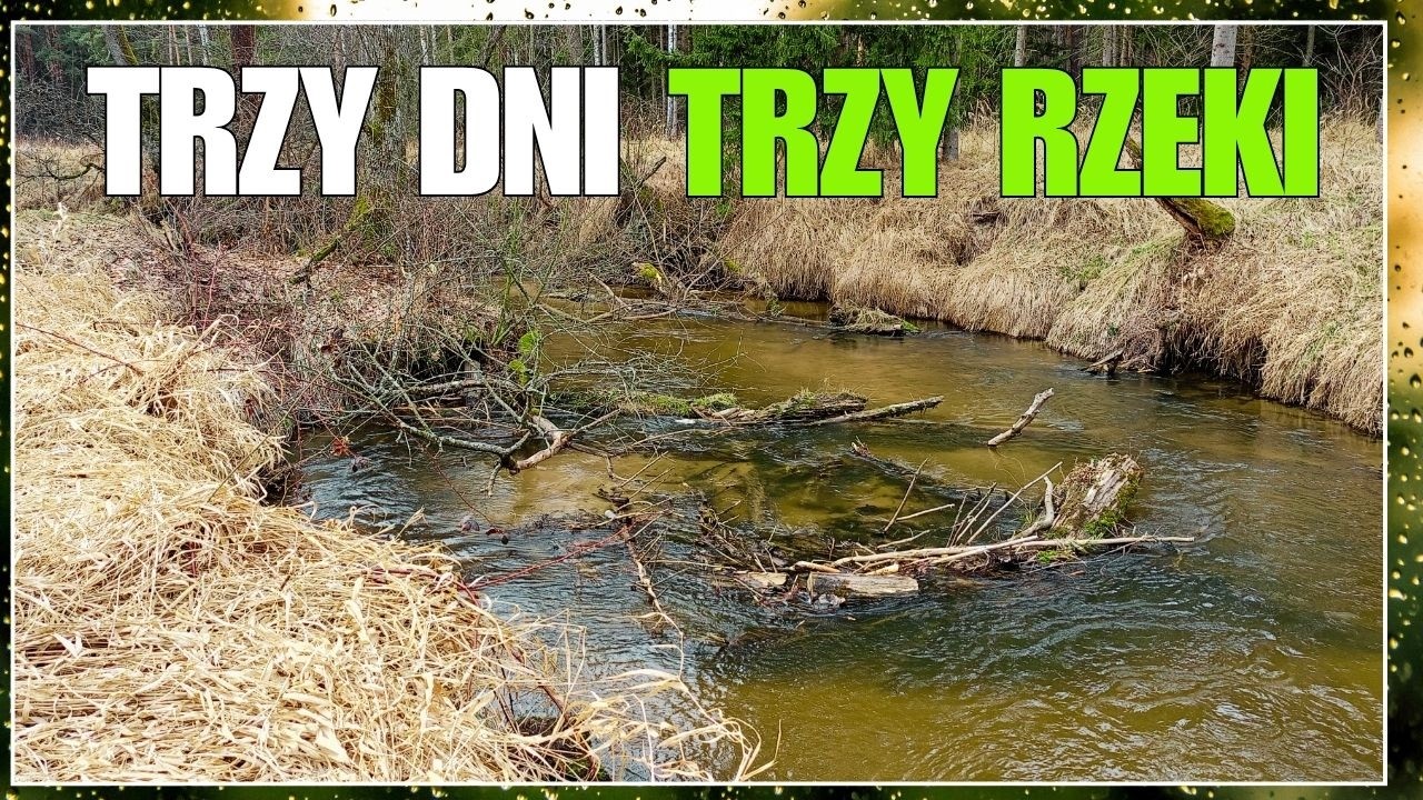 Męski wyjazd na PSTRĄGI! #wędkarstwo