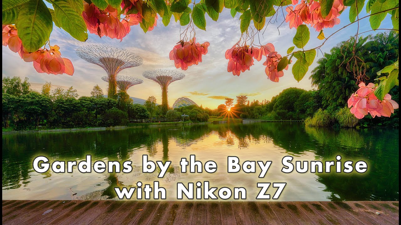 Gardens by the Bay Sunrise with Nikon Z7