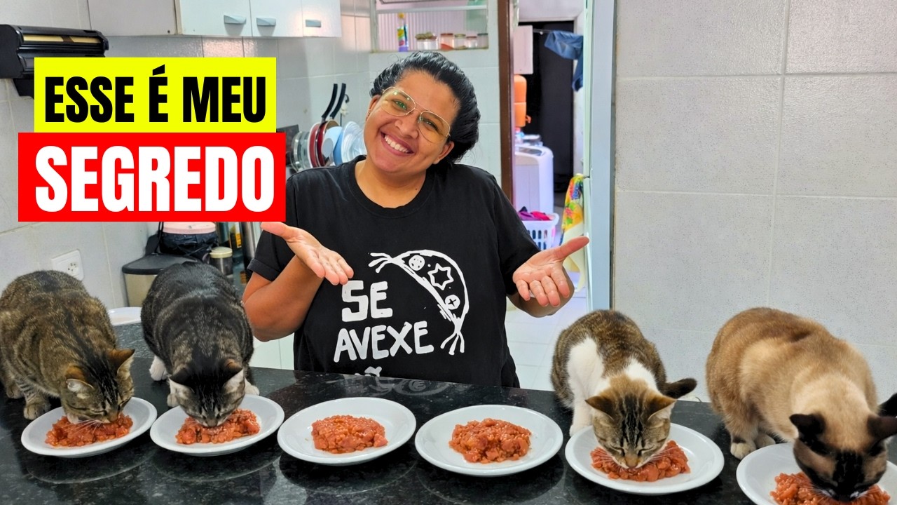 Essa é a ALIMENTAÇÃO IDEAL para seus gatos ( Fácil, natural e econômica)