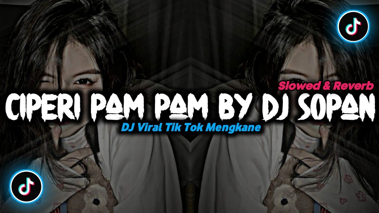 DJ Ciperi Pam Pam By Dj Sopan - ( Slowed & Reverb ) 🎶