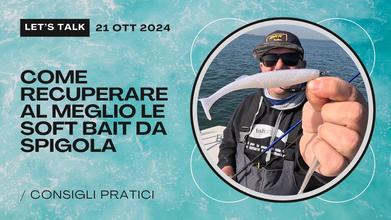 Come recuperare al meglio le soft bait da spigola 🎣