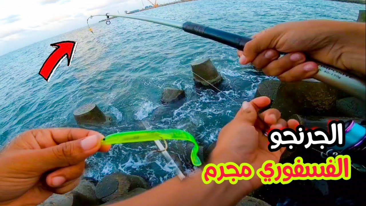 اقوي تجربة للجرنجو الفسفوري في المياه العكرة