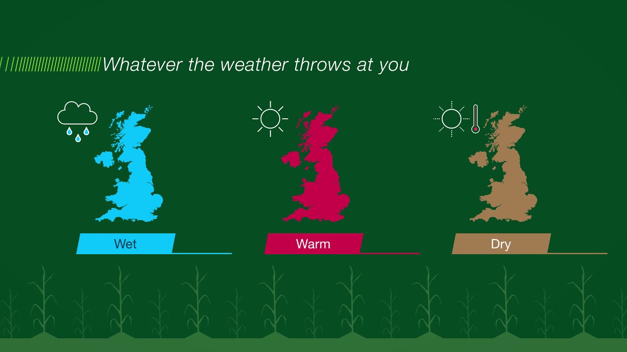 The impact of weather: fight disease rain or shine