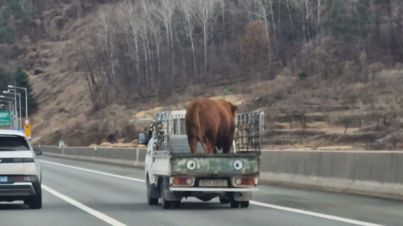 청도 소사움. 집에가는 소