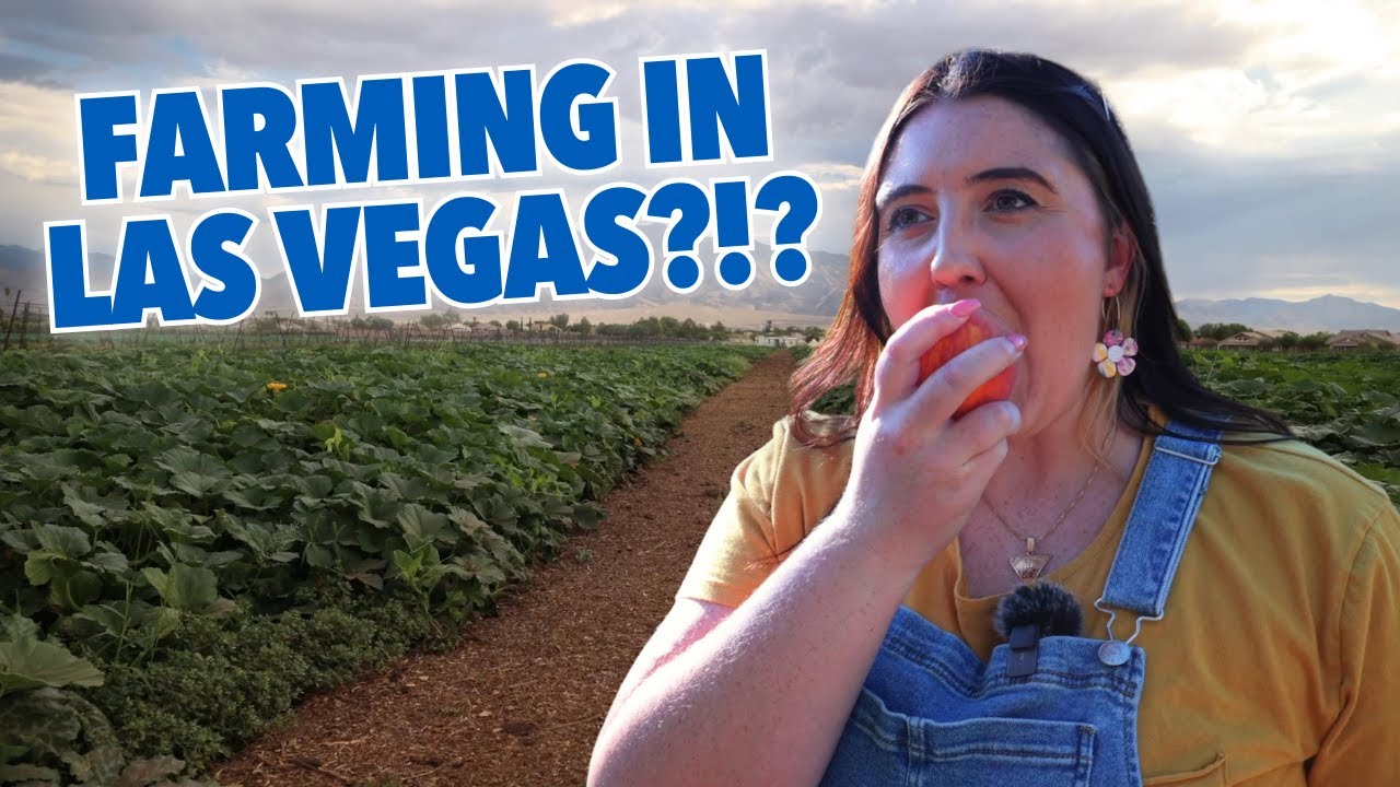 Pick Fresh Produce at Gilcrease Orchard in Las Vegas