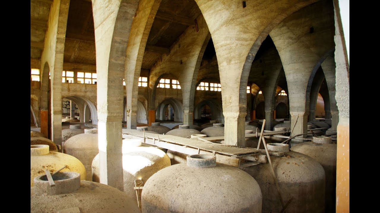Bodega de vinos abandonada 1