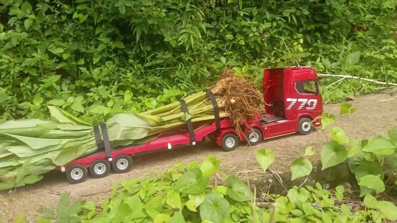 RC Scania Truck Extreme Hill Climb Carrying Heavy Turmeric Tree | Huina 1501 Power Test