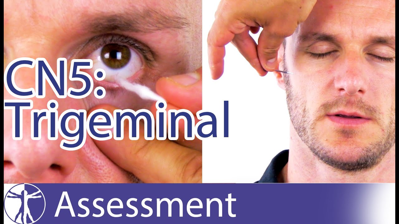 Cranial Nerve 5 Examination | Trigeminal Nerve Assessment for Physiotherapists