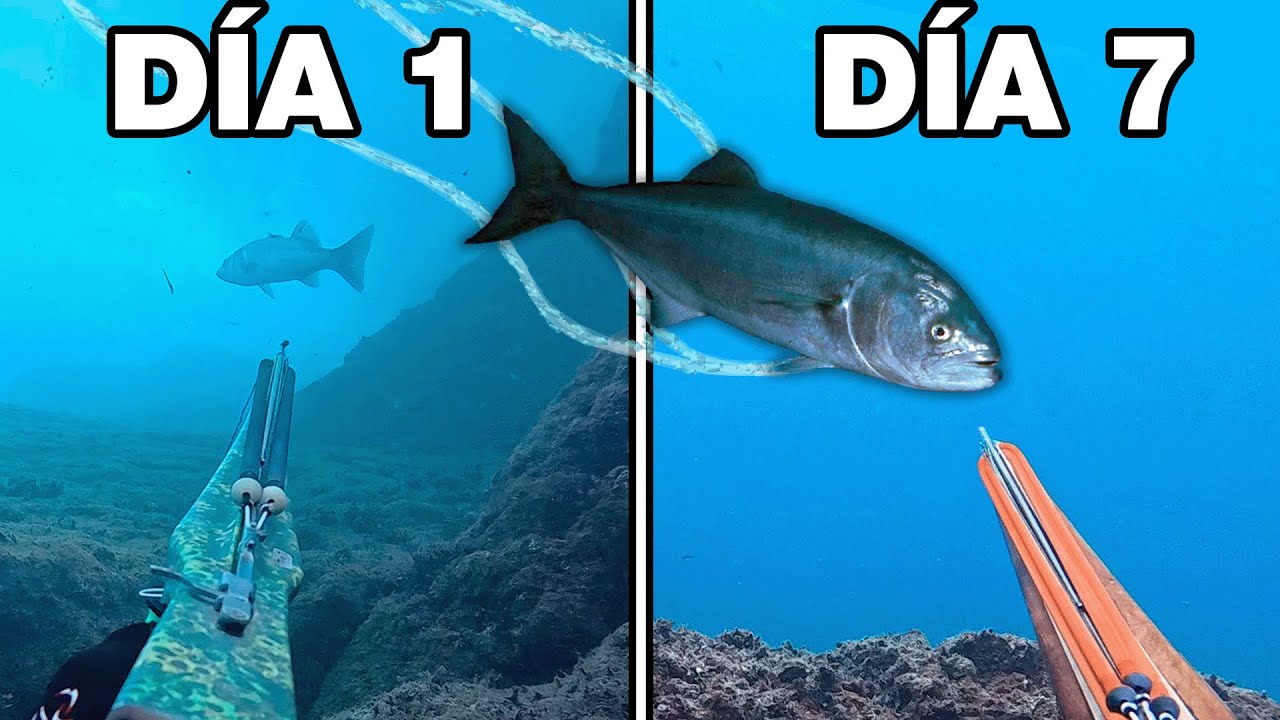 7 DÍAS para Pescar a los PECES mas FAMOSOS de Youtube