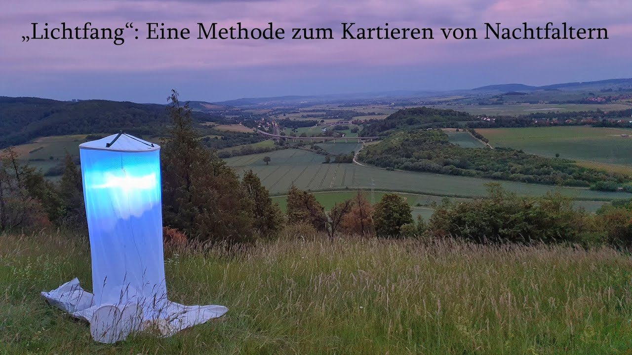 Lichtfang als Methode zur Nachtfalterkartierung