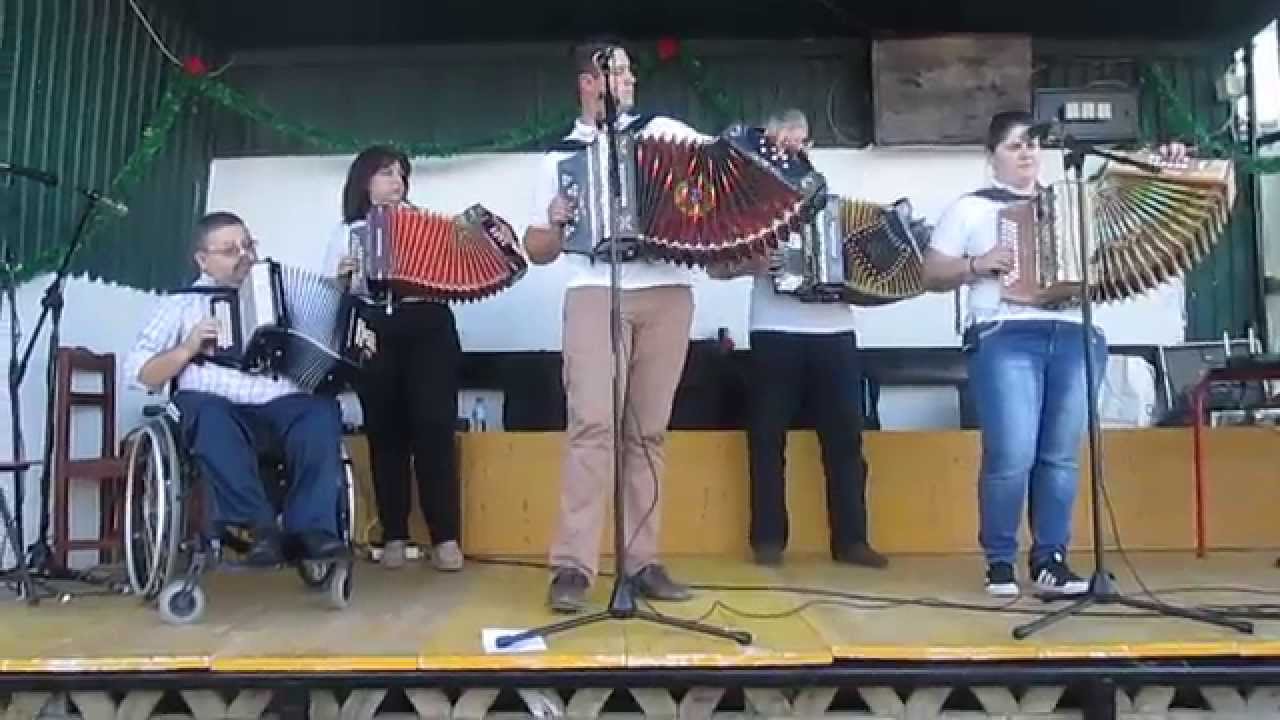 Aida Ameixa Concertina  Escola de Concertinas Aida Ameixa
