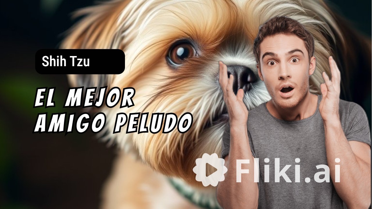 Shih Tzu como  Cuidar a Tu Peludo Amigo