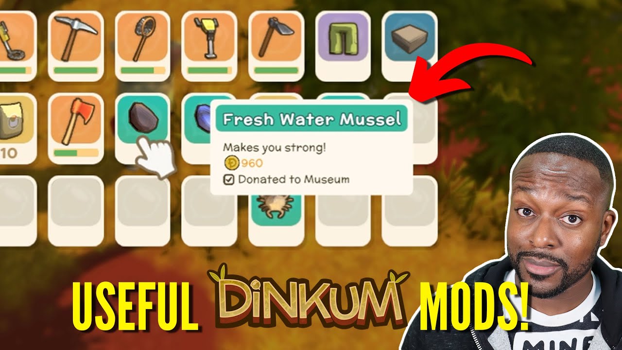 ТОП-5 полезных модов Dinkum!!