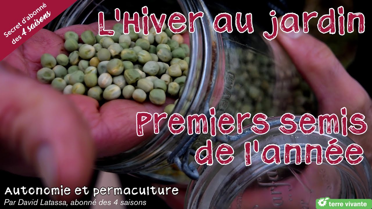 L'hiver au jardin : les premiers semis - Autonomie et permaculture avec David