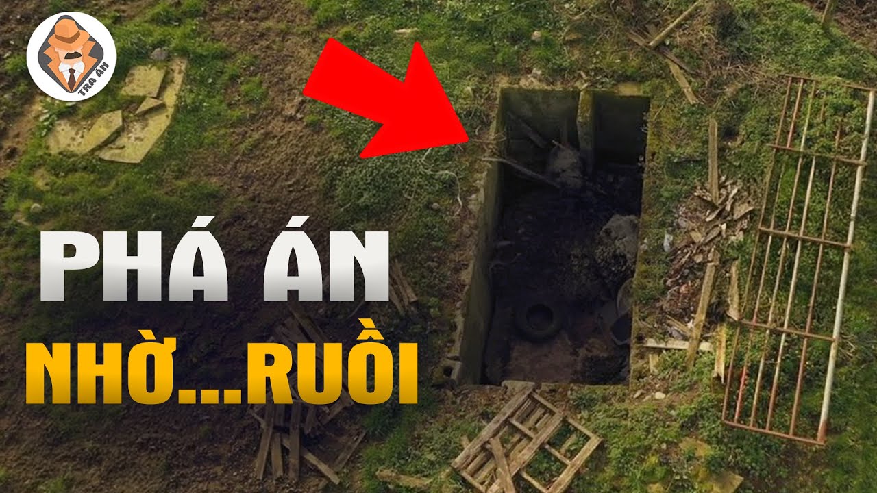 Phá Án Nhờ Ruồi - Bí Mật Từ Giếng Hoang - Tra Án