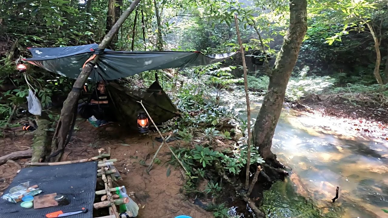 Camping Fishing Di Sungai kecil Yang Di Huni Ribuan Ikan Tengah Hutan Rimba Kalimantan