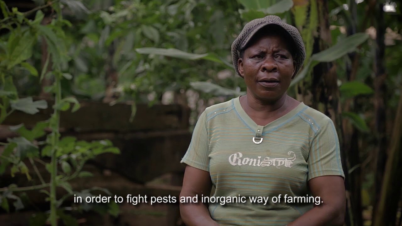 Ecological Organic Agriculture | Production of Organic Fertilizers