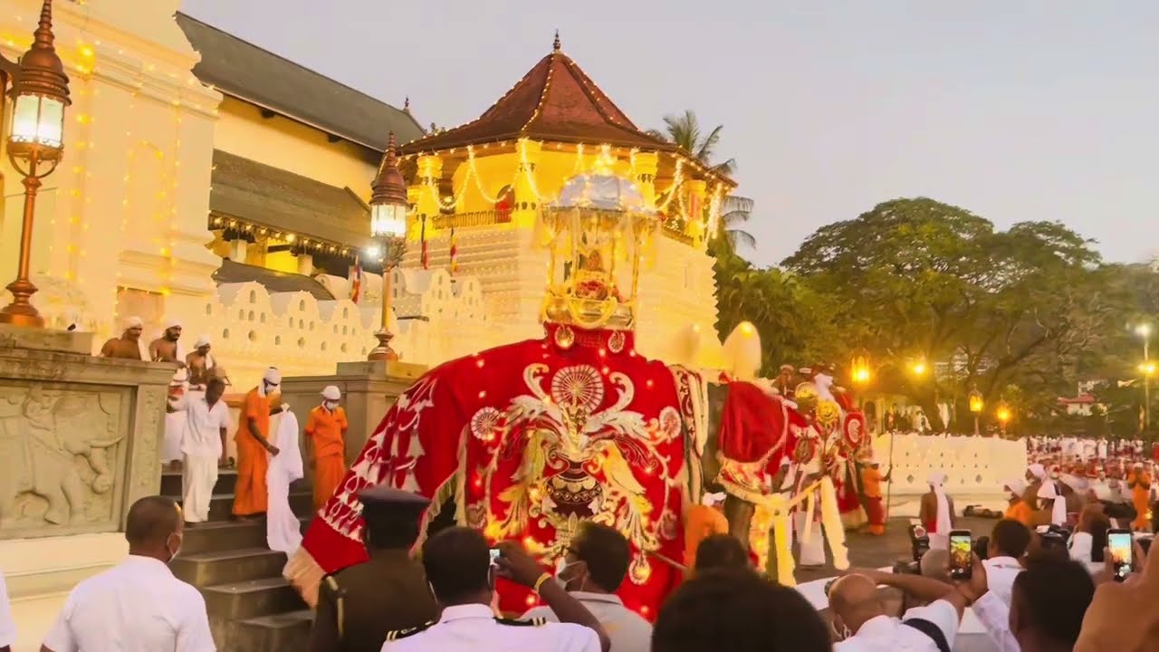 The Grand Randoli Procession, Kandy Esala Perahera Festival 2022 ☸️