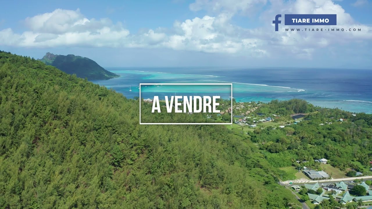 Propriété à vendre à Huahine, idéal investisseur pour création pension de famille Tiare Immo