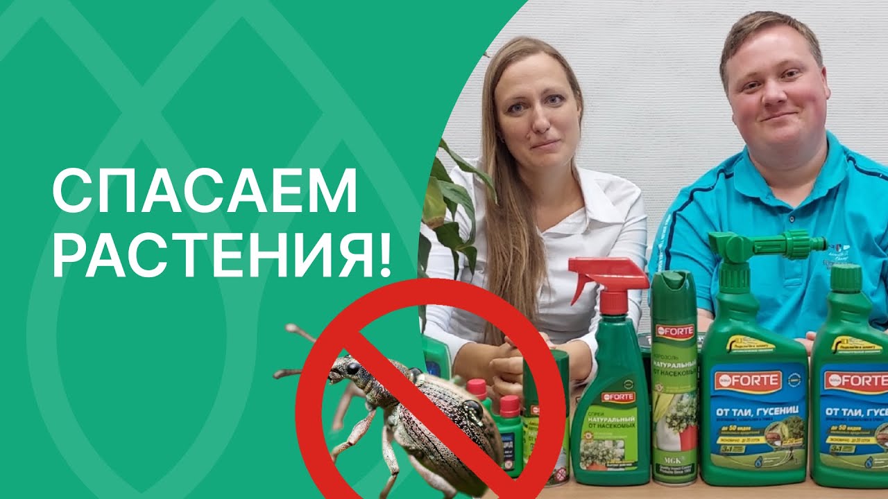 Защищаем сад от вредителей био-средствами!