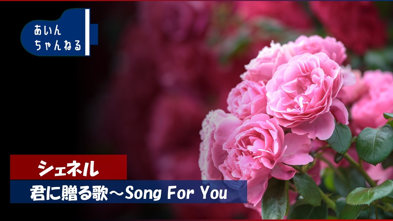 シェネル：君に贈る歌〜Song For You #シェネル #君に贈る歌 #SongForYou #ピアノ#弾いてみた