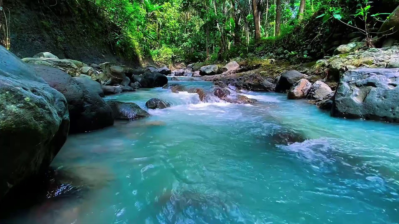 Flowing Mountain Stream Water Audio, Forest River, Sleep